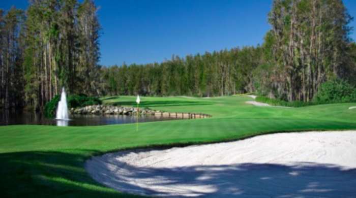 Screen Shot 2020-06-17 at 11.36.32 AM